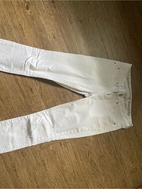 ARTICLE OF SOCIETY